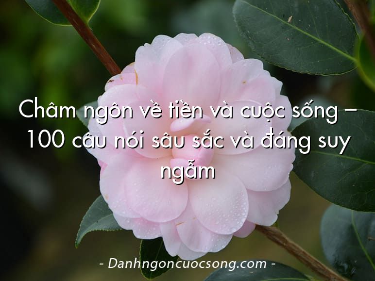Châm ngôn về tiền và cuộc sống – 100 câu nói sâu sắc và đáng suy ngẫm