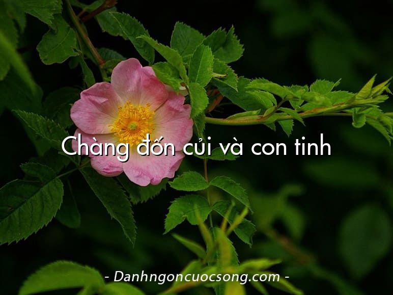 Chàng đốn củi và con tinh