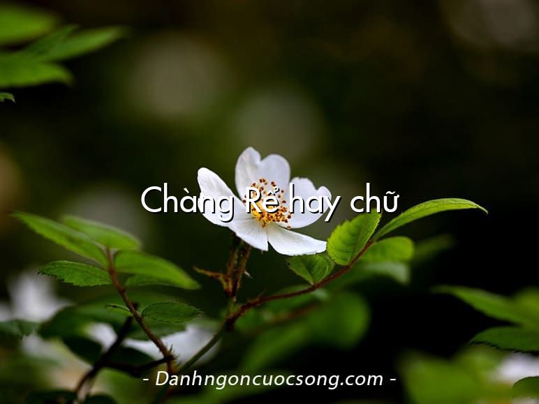 Chàng Rể hay chữ