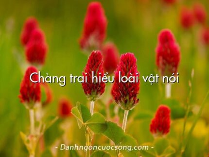 Chàng trai hiểu loài vật nói