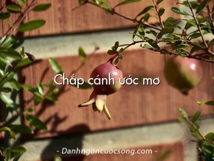 Chắp cánh ước mơ