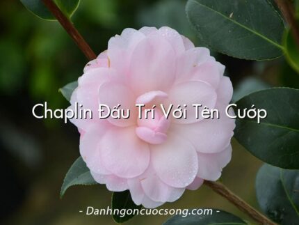 Chaplin Đấu Trí Với Tên Cướp