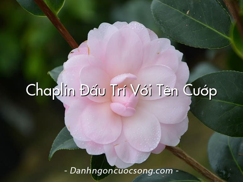 Chaplin Đấu Trí Với Tên Cướp