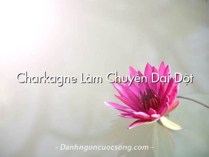 Charkagne Làm Chuyện Dại Dột