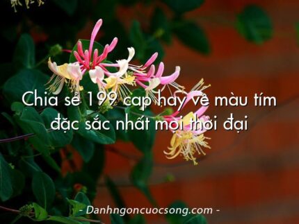 Chia sẻ 199 cap hay về màu tím đặc sắc nhất mọi thời đại