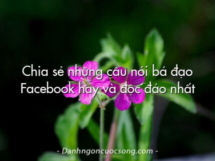 Chia sẻ những câu nói bá đạo Facebook hay và độc đáo nhất