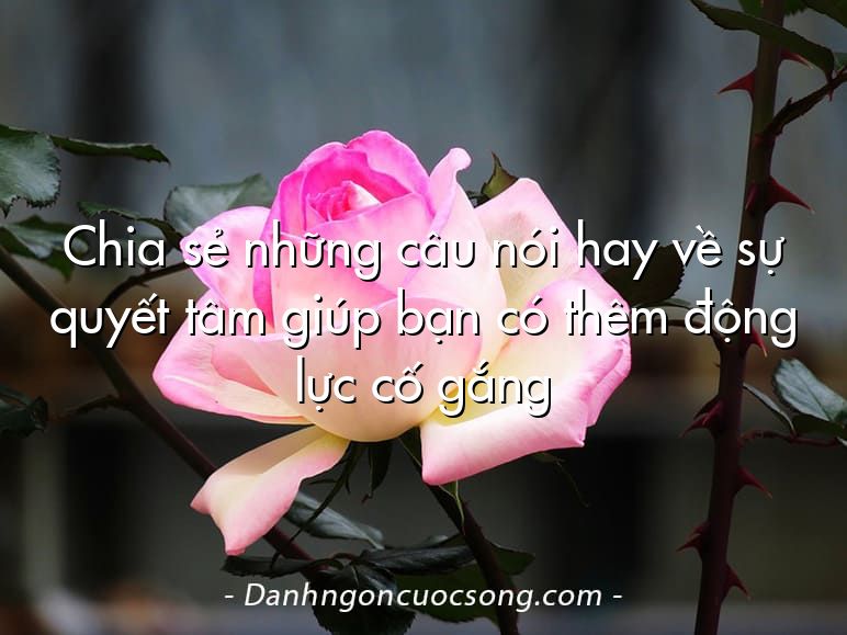 Chia sẻ những câu nói hay về sự quyết tâm giúp bạn có thêm động lực cố gắng