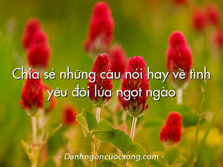 Chia sẻ những câu nói hay về tình yêu đôi lứa ngọt ngào