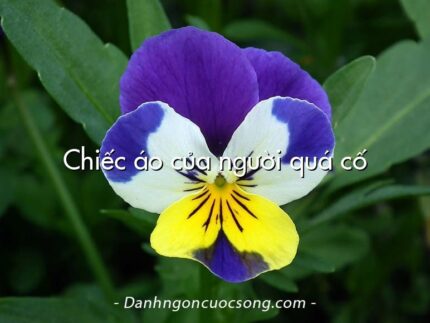 Chiếc áo của người quá cố