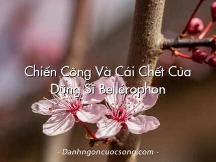 Chiến Công Và Cái Chết Của Dũng Sĩ Bellérophon