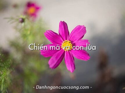 Chiến mã và con lừa