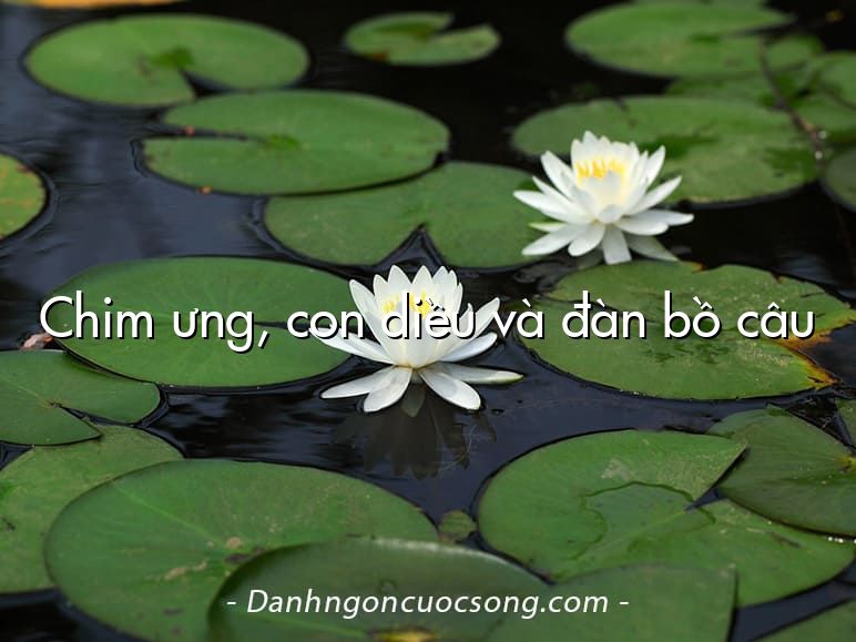 Chim ưng, con diều và đàn bồ câu