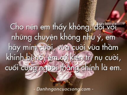Cho nên em thấy không, đối với những chuyện không như ý, em hãy mỉm cười, vừa cười vừa thầm khinh bỉ nó, em cứ kiên trì nụ cười, cuối cùng người thắng chính là em.
