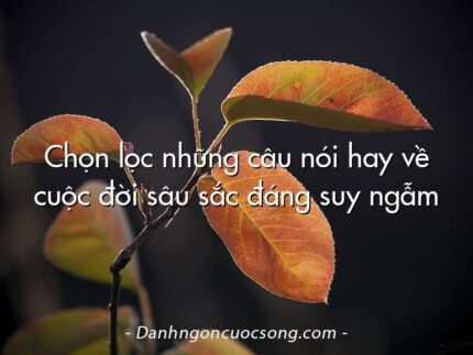 Chọn lọc những câu nói hay về cuộc đời sâu sắc đáng suy ngẫm