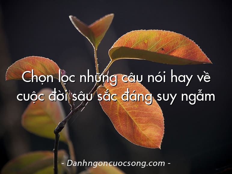 Chọn lọc những câu nói hay về cuộc đời sâu sắc đáng suy ngẫm