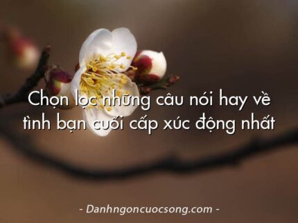 Chọn lọc những câu nói hay về tình bạn cuối cấp xúc động nhất