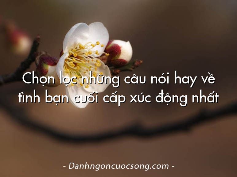 Chọn lọc những câu nói hay về tình bạn cuối cấp xúc động nhất