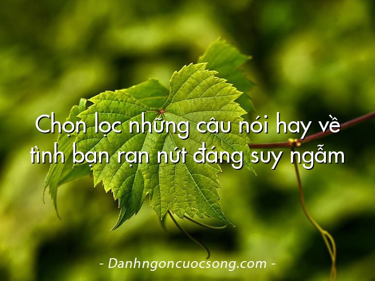 Chọn lọc những câu nói hay về tình bạn rạn nứt đáng suy ngẫm