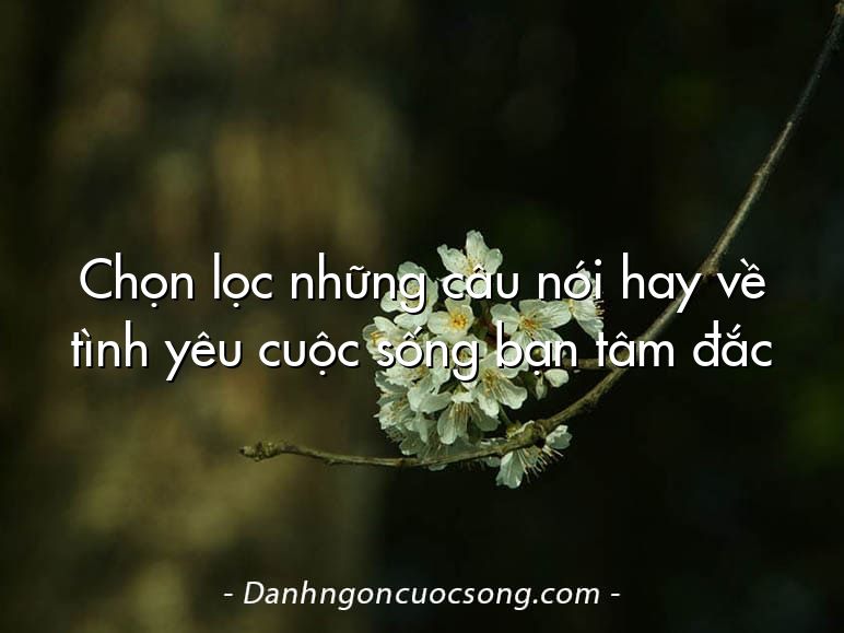 Chọn lọc những câu nói hay về tình yêu cuộc sống bạn tâm đắc
