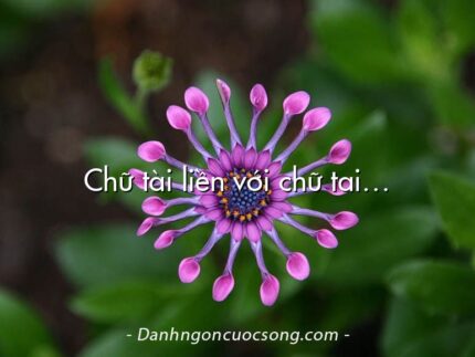 Chữ tài liền với chữ tai…