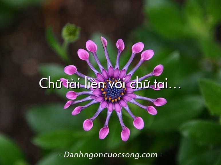 Chữ tài liền với chữ tai…