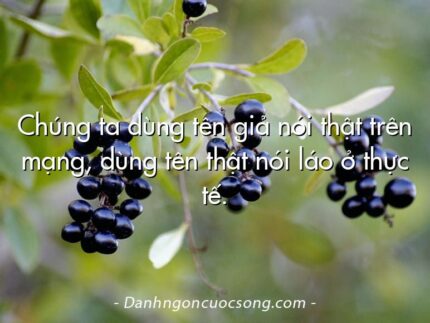 Chúng ta dùng tên giả nói thật trên mạng, dùng tên thật nói láo ở thực tế.