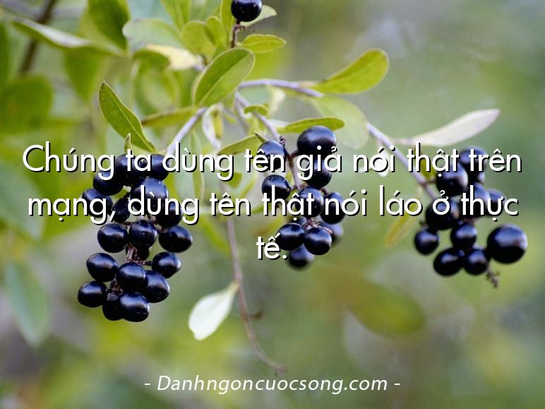 Chúng ta dùng tên giả nói thật trên mạng, dùng tên thật nói láo ở thực tế.