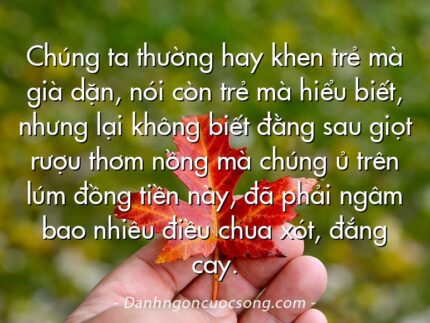 Chúng ta thường hay khen trẻ mà già dặn, nói còn trẻ mà hiểu biết, nhưng lại không biết đằng sau giọt rượu thơm nồng mà chúng ủ trên lúm đồng tiền này, đã phải ngâm bao nhiêu điều chua xót, đắng cay.