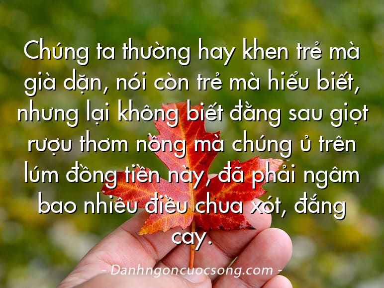 Chúng ta thường hay khen trẻ mà già dặn, nói còn trẻ mà hiểu biết, nhưng lại không biết đằng sau giọt rượu thơm nồng mà chúng ủ trên lúm đồng tiền này, đã phải ngâm bao nhiêu điều chua xót, đắng cay.