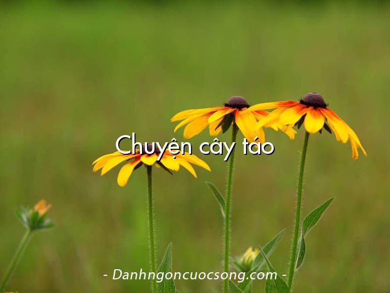 Chuyện cây táo