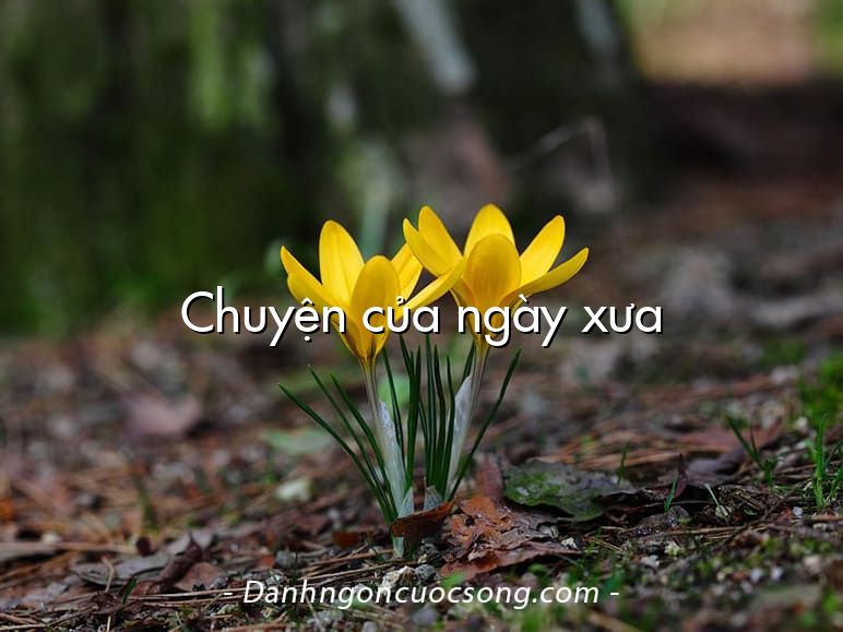 Chuyện của ngày xưa