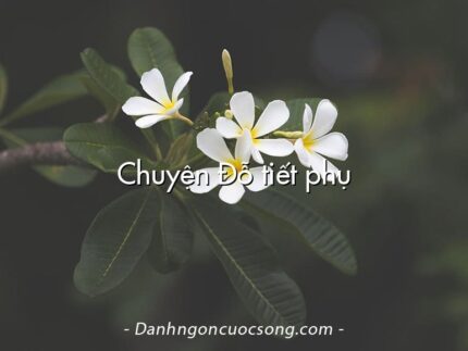 Chuyện Đỗ tiết phụ