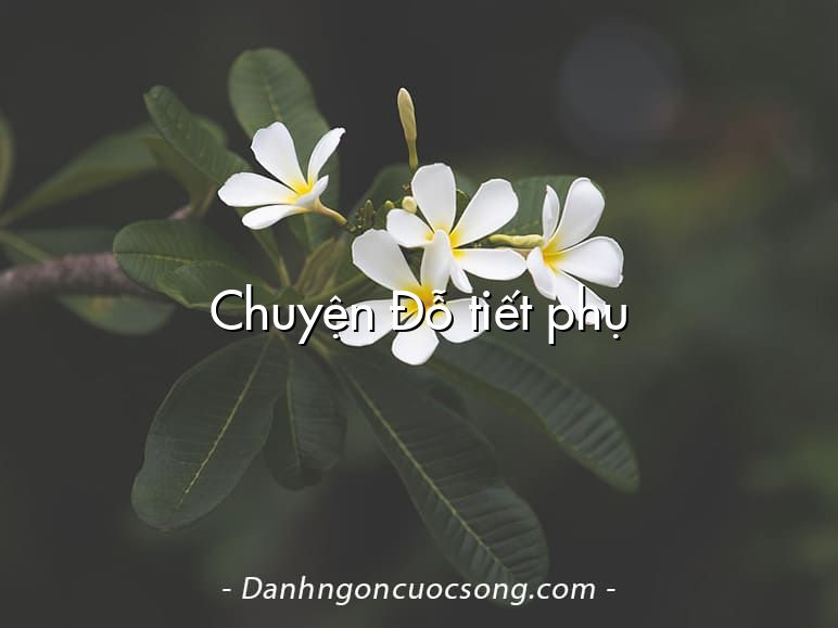 Chuyện Đỗ tiết phụ