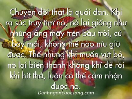 Chuyện đời thật là quái đản. Khi ra sức truy tìm nó, nó lại giống như những áng mây trên bầu trời, cứ bay mãi, không thể nào níu giữ được. Thế nhưng khi muốn vứt bỏ, nó lại biến thành không khí để rồi khi hít thở, luôn có thể cảm nhận được nó.