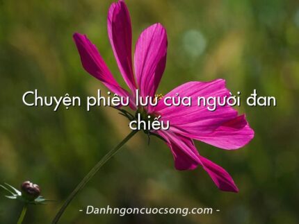Chuyện phiêu lưu của người đan chiếu