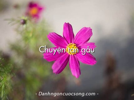 Chuyện tán gẫu
