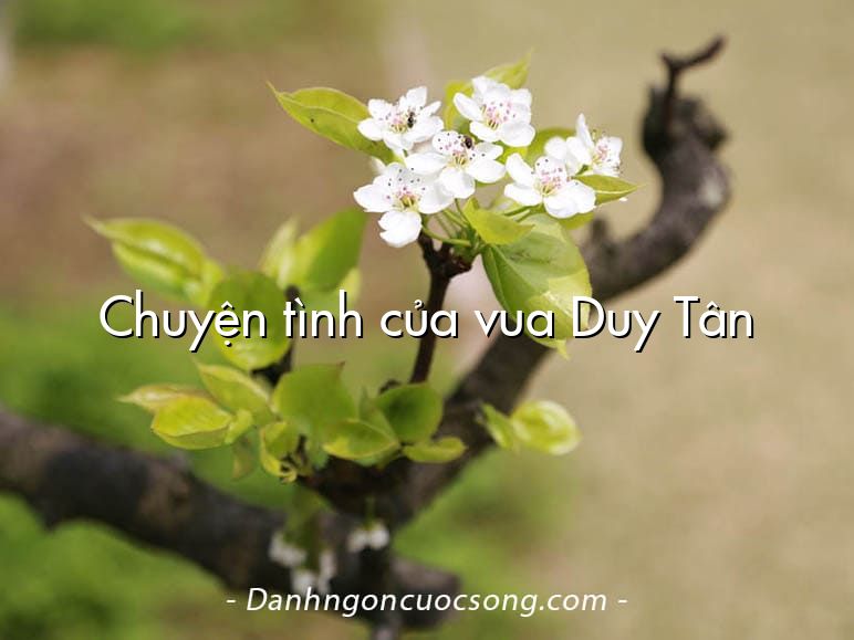 Chuyện tình của vua Duy Tân