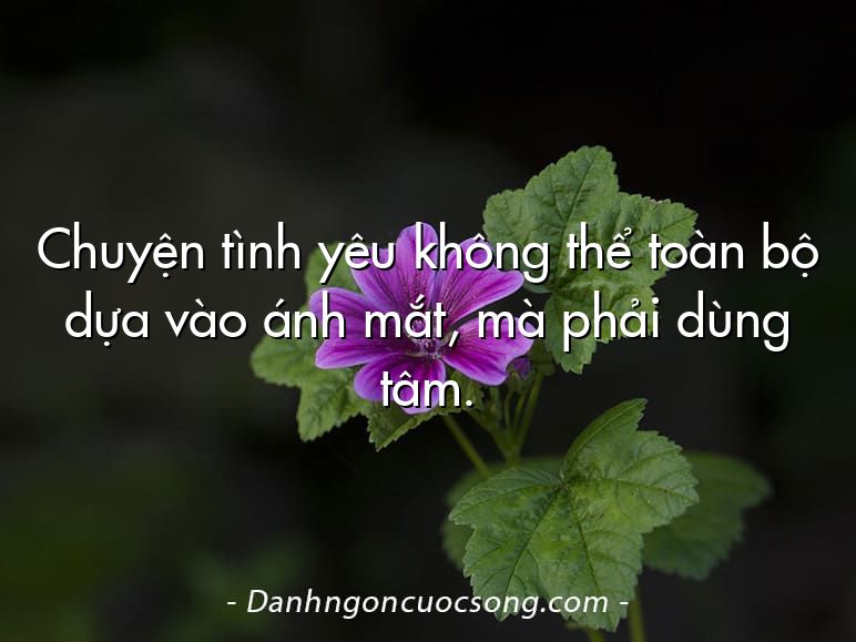 Chuyện tình yêu không thể toàn bộ dựa vào ánh mắt, mà phải dùng tâm.