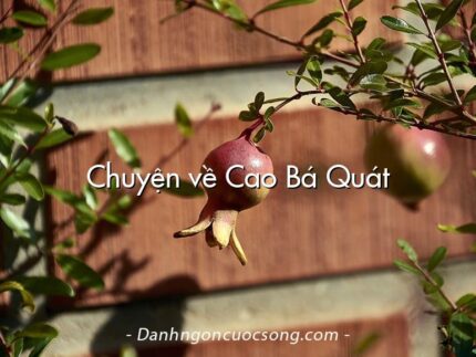 Chuyện về Cao Bá Quát