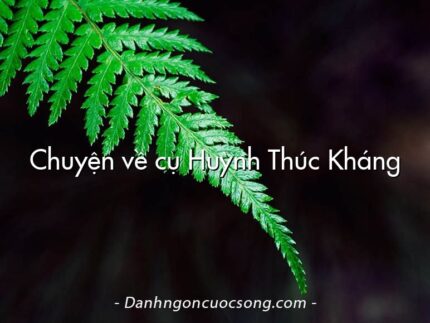 Chuyện về cụ Huỳnh Thúc Kháng