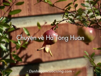 Chuyện về Hà Tông Huân