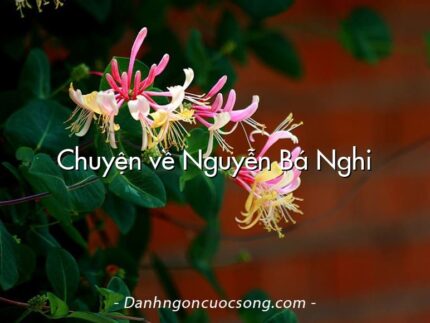 Chuyện về Nguyễn Bá Nghi