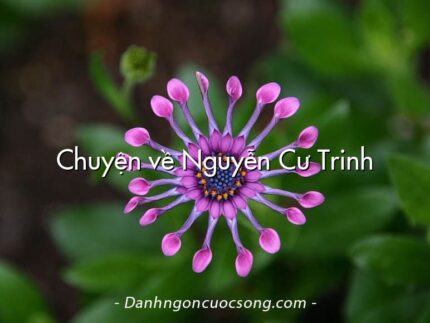 Chuyện về Nguyễn Cư Trinh