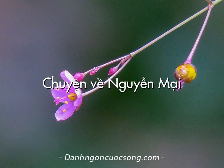 Chuyện về Nguyễn Mại