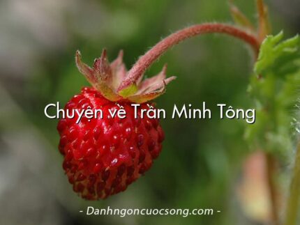 Chuyện về Trần Minh Tông
