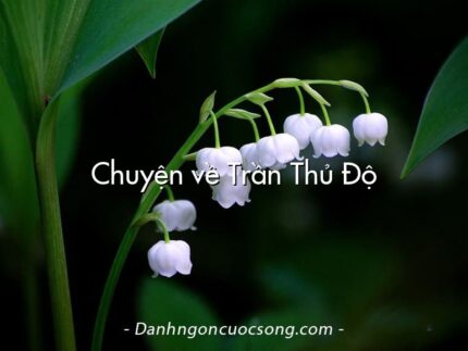 Chuyện về Trần Thủ Độ