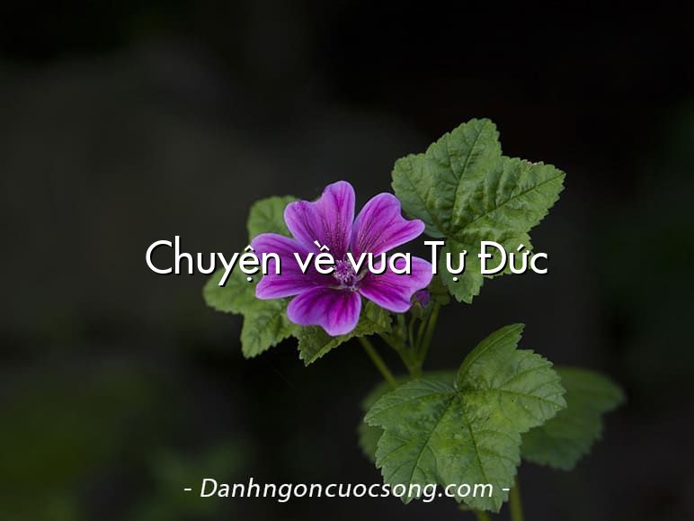 Chuyện về vua Tự Đức