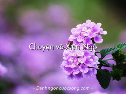 Chuyện về Xiển Ngộ