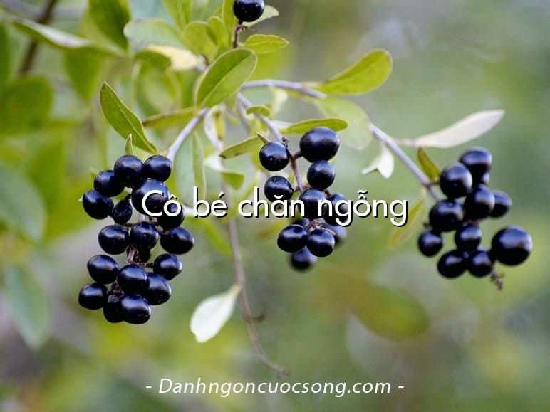 Cô bé chăn ngỗng