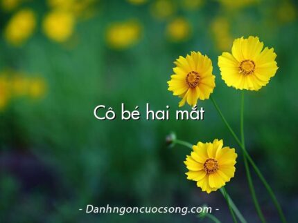 Cô bé hai mắt